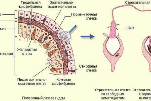 Купить наркотики через кракен