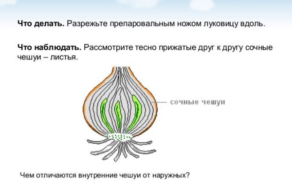 Сайт кракен гидра