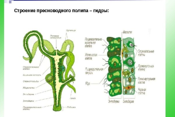 Ссылки для даркнета