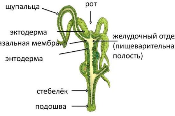 Как отличить оригинальный сайт кракена