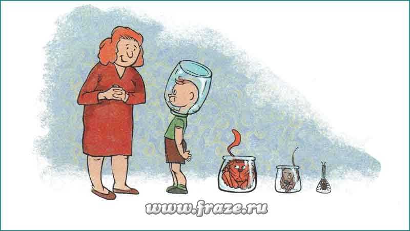 Kraken вход на сайт krmp.cc
