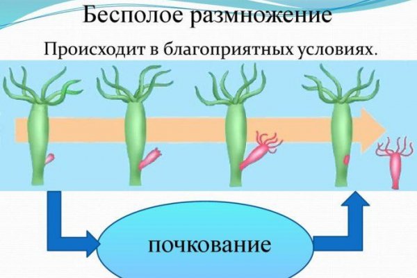 Кракен сайт ссылка