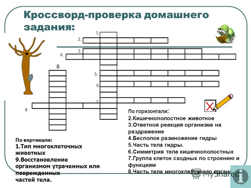 Кракен at сегодня работает ли